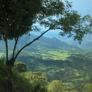 Meet your Posher, Berenice